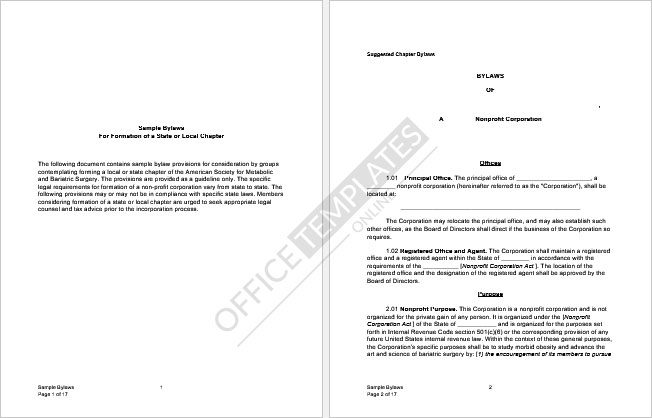 plantilla-de-estatutos-corporativos-en-ms-word-03