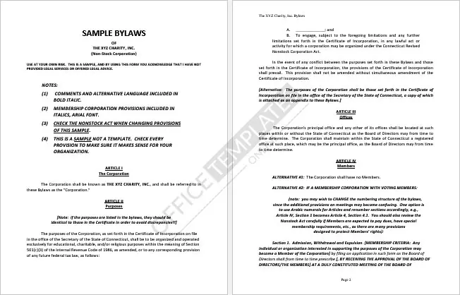 plantilla-de-estatutos-corporativos-en-ms-word-12